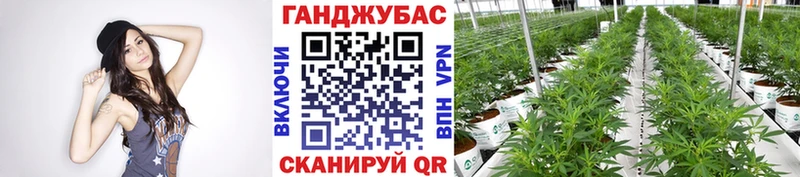 цена   Кондрово  Марихуана семена 